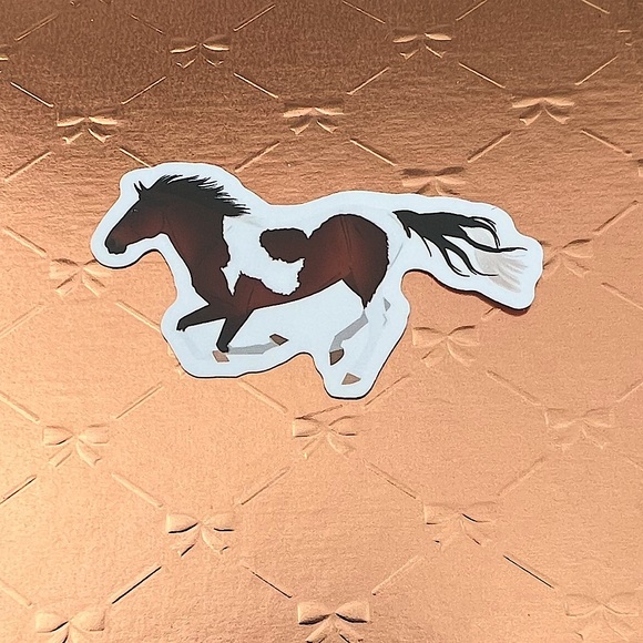 Paint Equestrian Horse Girl Horse Boy Cowboy CowGirl Single Waterproof Sticker - Picture 1 of 3